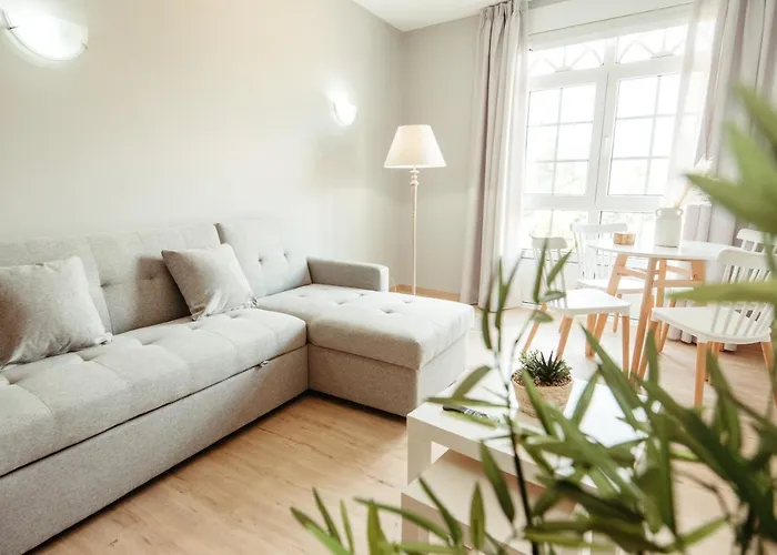 Lar Da Revolta 塞代拉